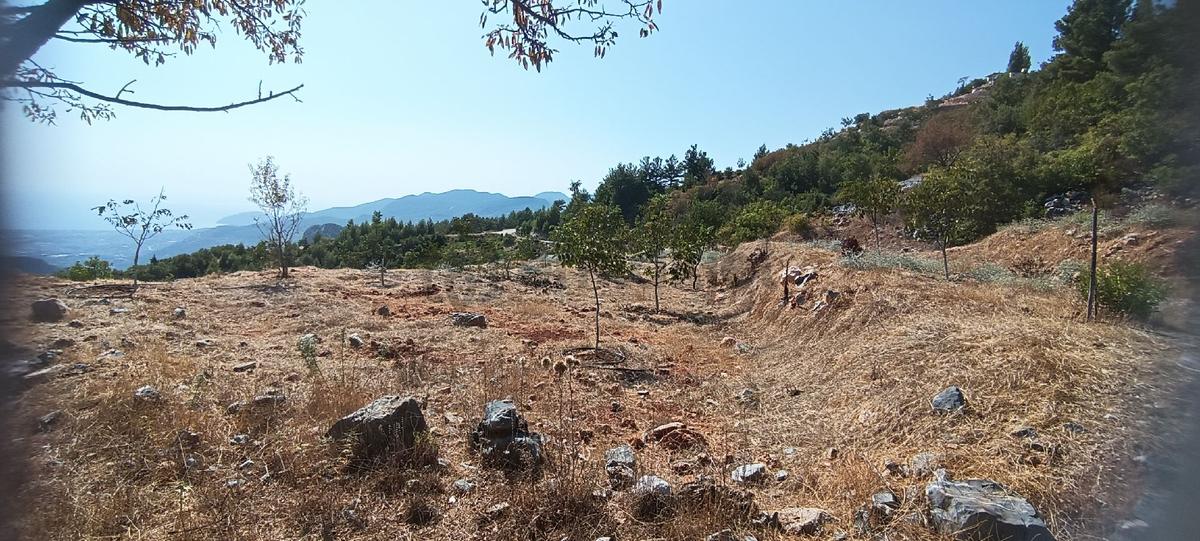 Sahibinden Bademağacı Köyünde - 8