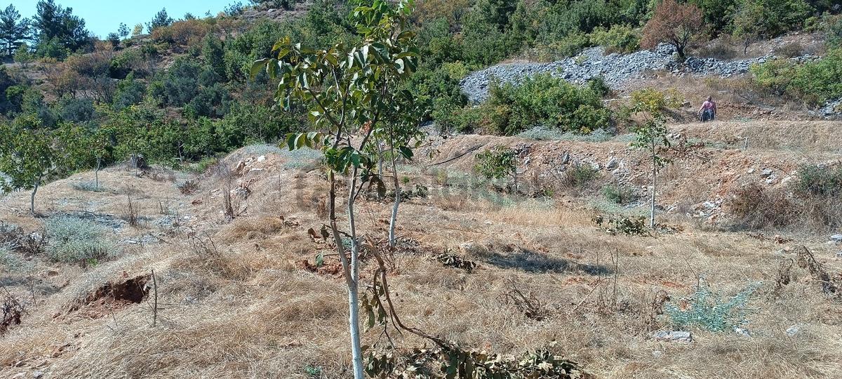 Sahibinden Bademağacı Köyünde - 16