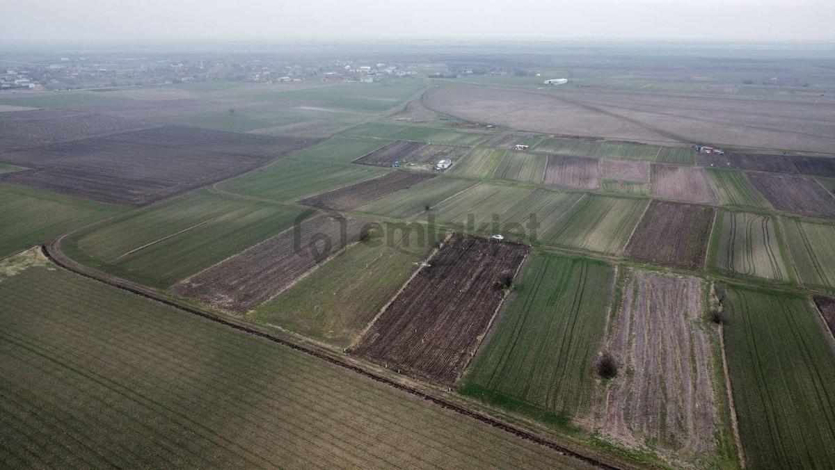 Tekirdağ Saray Sofular - 14