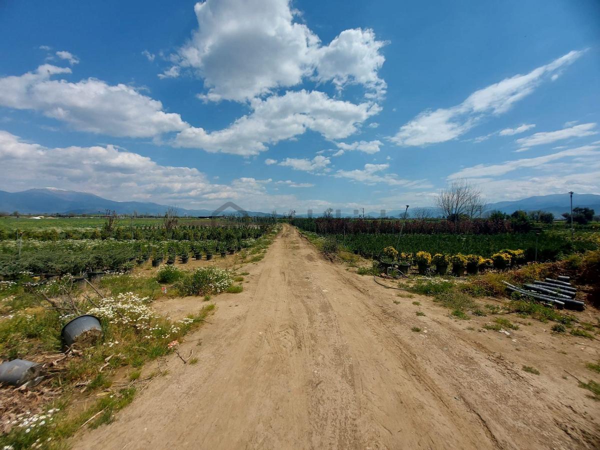 Ödemiş Demircili Mevki 7530 Mt2 Satılık Tarla - 11