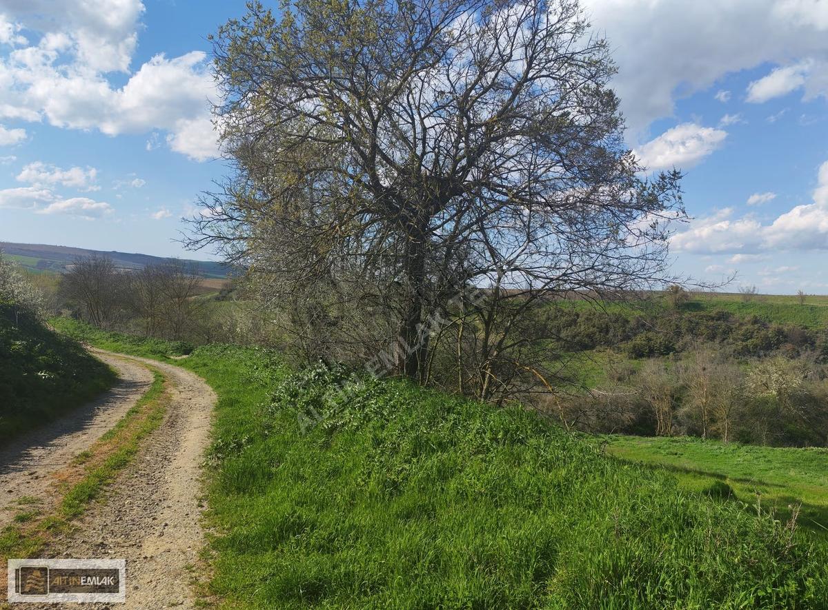 Tekirdağ Ahmedikli'de Manzaralı, İmarlı 570m² Arsa - 13