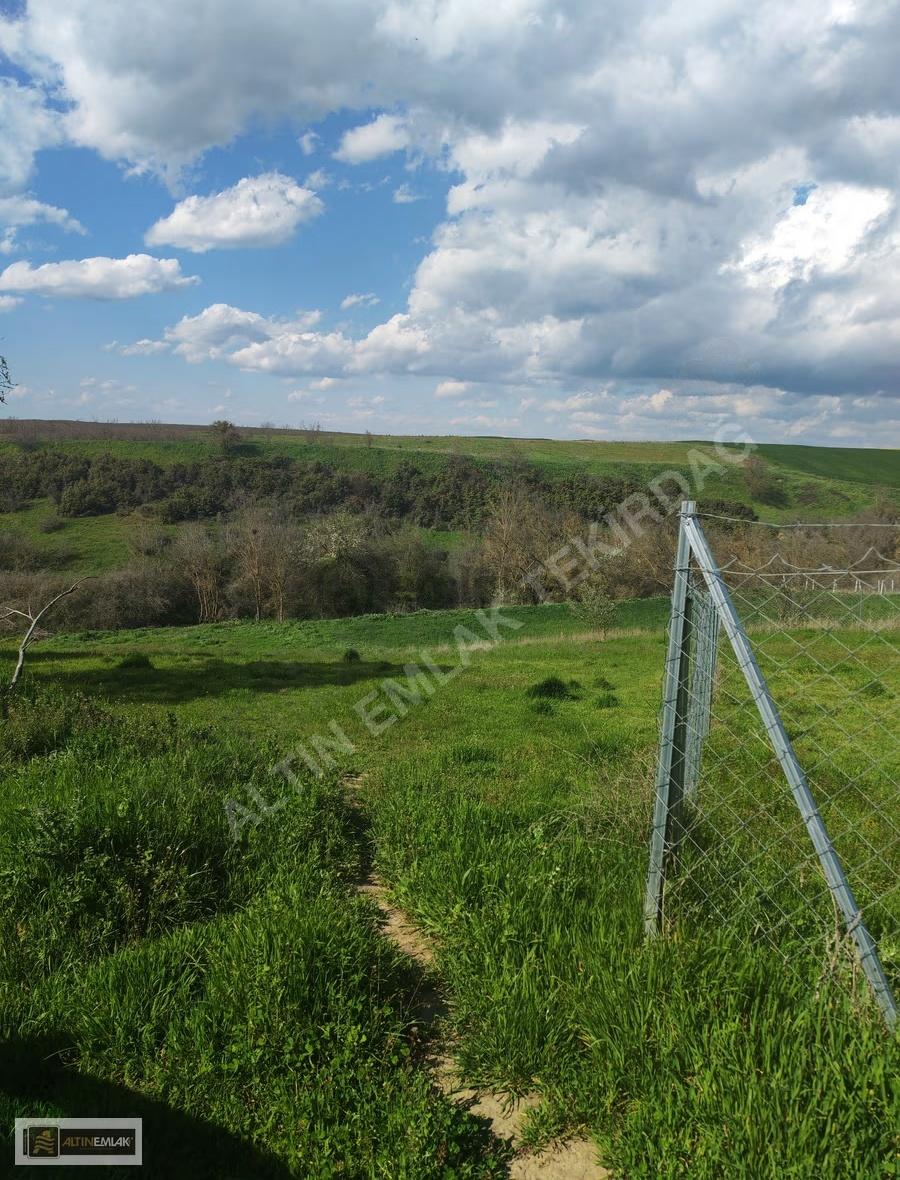 Tekirdağ Ahmedikli'de Manzaralı, İmarlı 570m² Arsa - 28