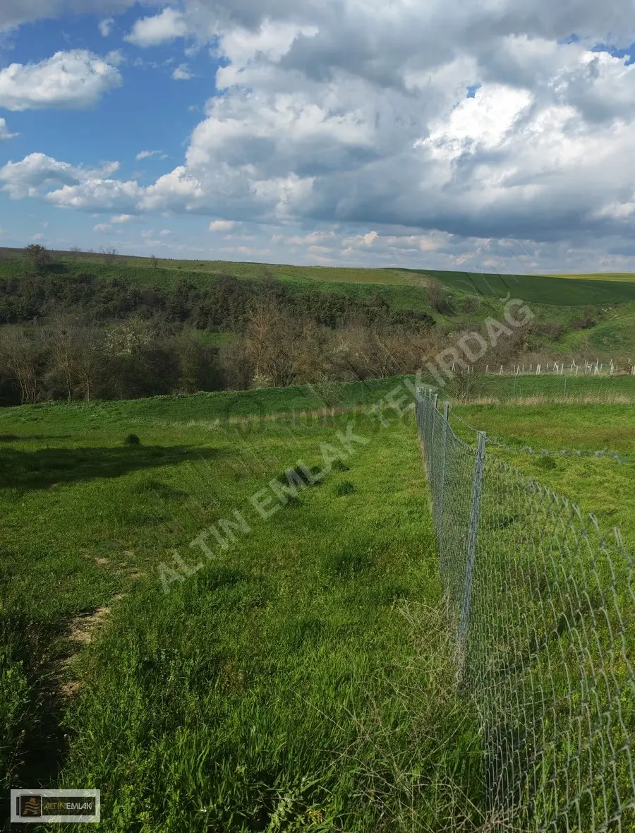 Tekirdağ Ahmedikli'de Manzaralı, İmarlı 570m² Arsa - 2