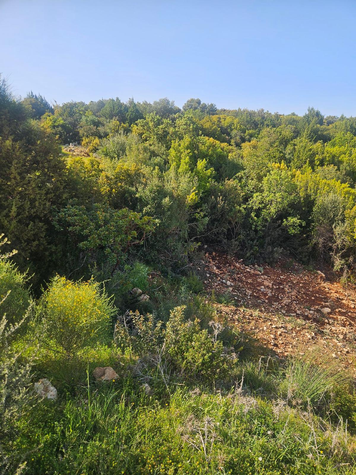 Aydın Didim'de Satılık Vılla - 6
