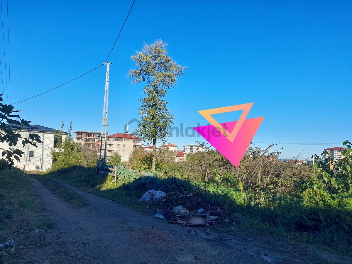 Bulancak Satılık 5 Kat İmarlı 292 M2 Arsa - 10