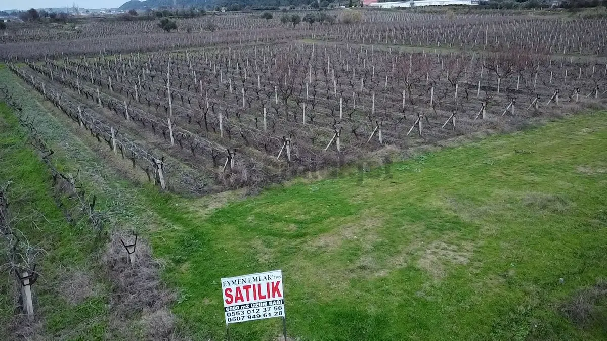 Eymen Emlak'tan Satılık 6 Dönüm Üzüm Bağı 🍇 - 20