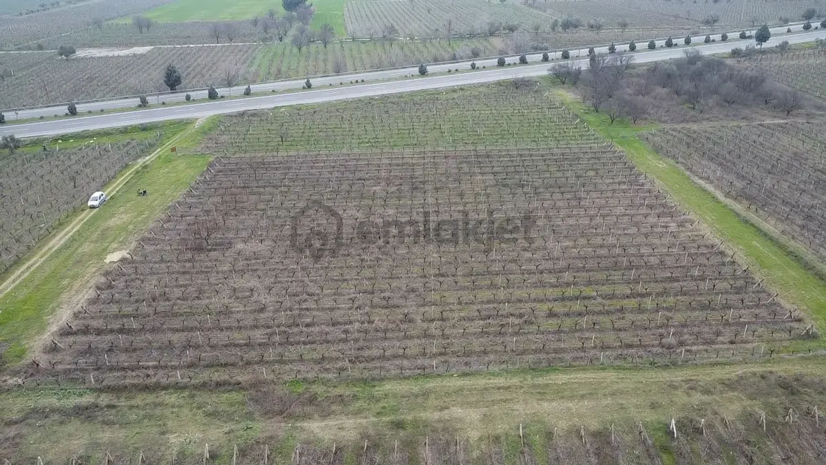 Eymen Emlak'tan Satılık 6 Dönüm Üzüm Bağı 🍇 - 32