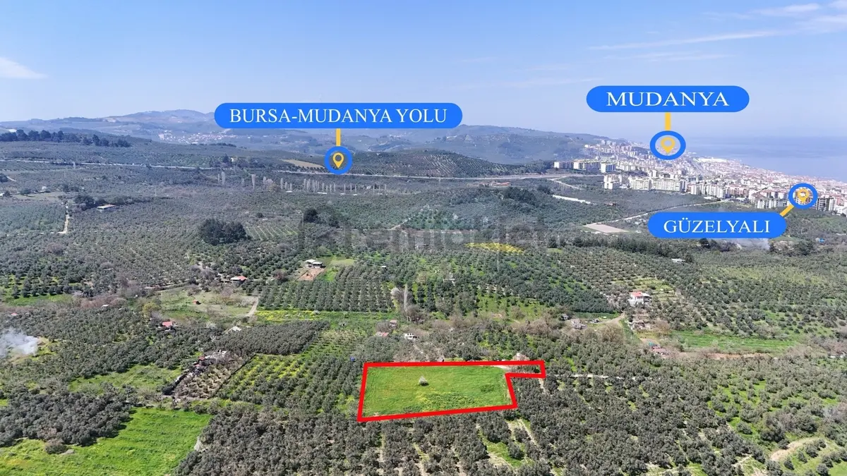 Bursa Mudanya Güzelyalı Eğitim Mahallesinde Satılık Tarla - 8