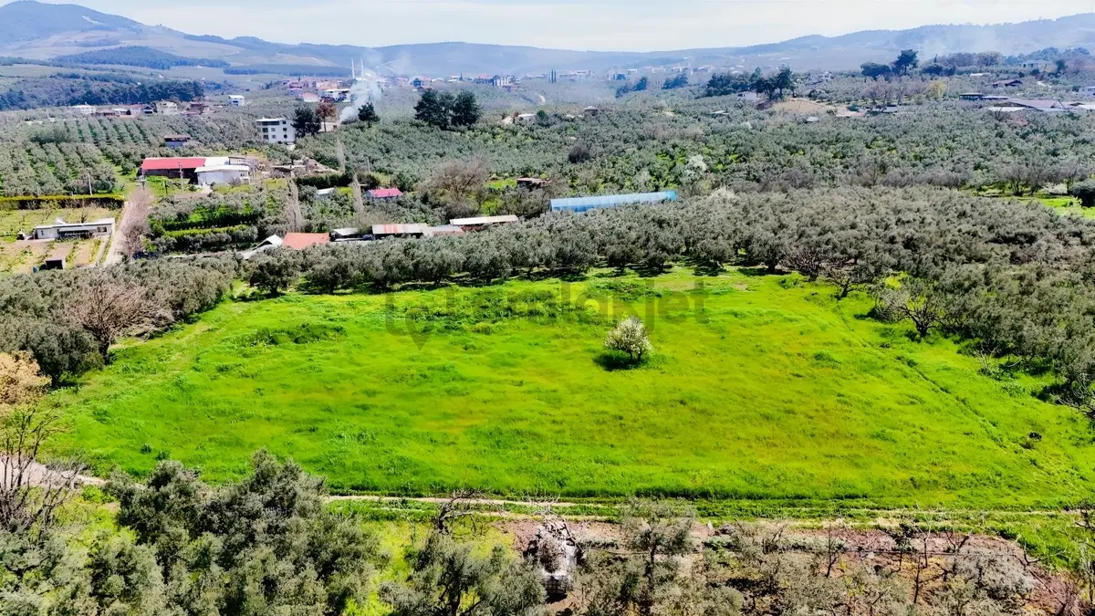 Bursa Mudanya Güzelyalı Eğitim Mahallesinde Satılık Tarla - 28