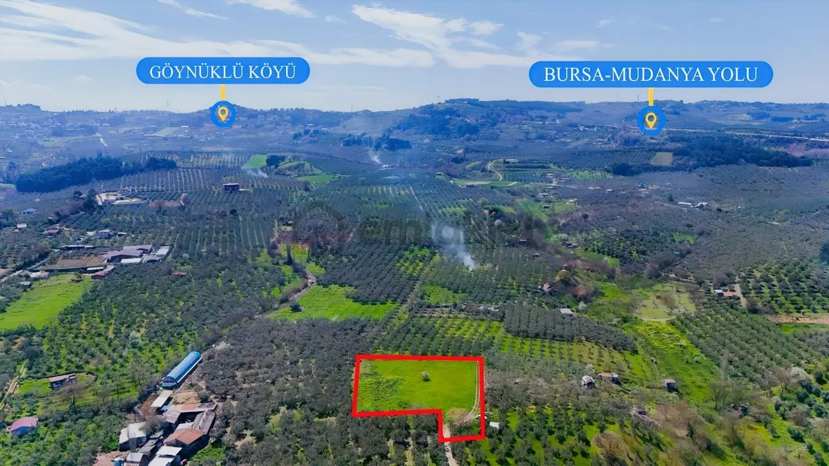 Bursa Mudanya Güzelyalı Eğitim Mahallesinde Satılık Tarla - 6