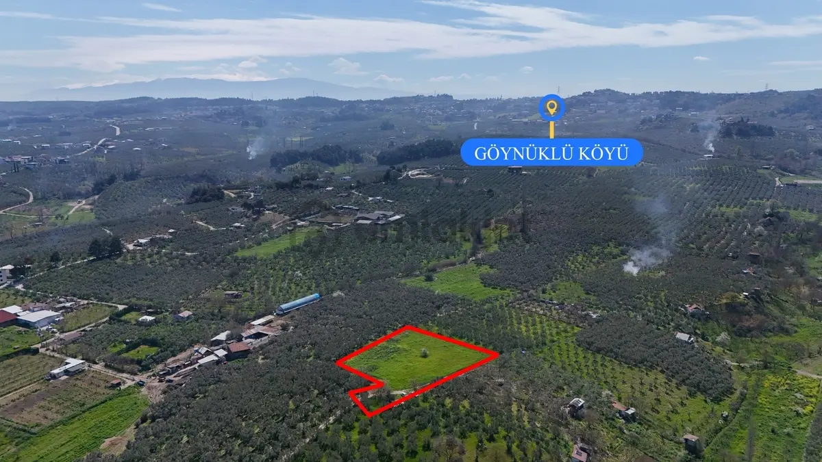 Bursa Mudanya Güzelyalı Eğitim Mahallesinde Satılık Tarla - 18
