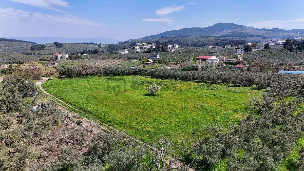 Bursa Mudanya Güzelyalı Eğitim Mahallesinde Satılık Tarla - 19