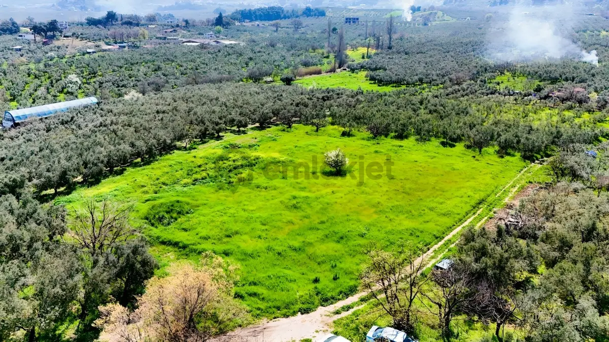 Bursa Mudanya Güzelyalı Eğitim Mahallesinde Satılık Tarla - 20