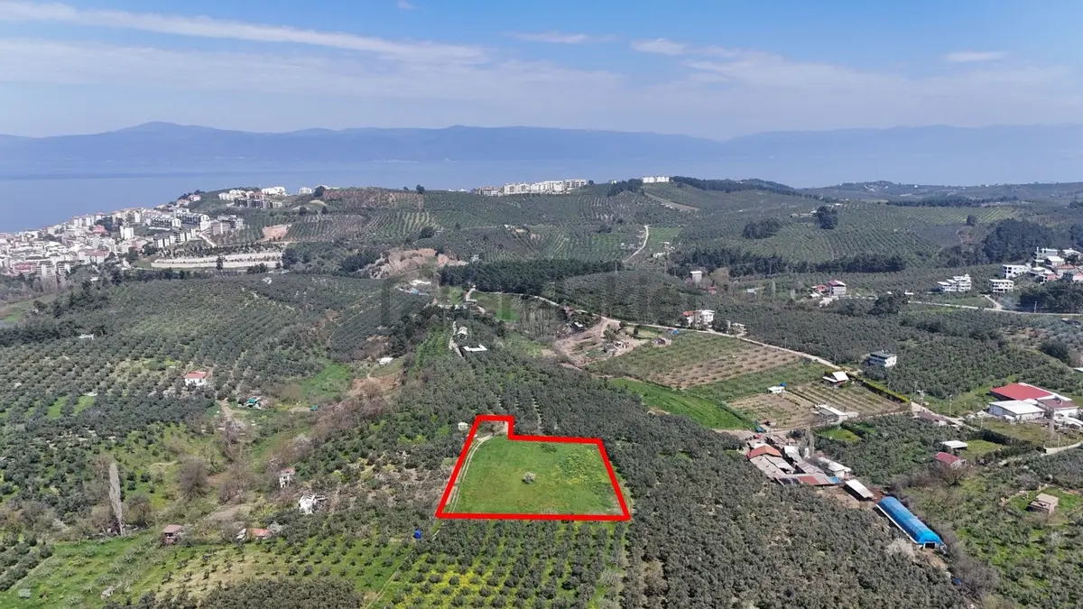 Bursa Mudanya Güzelyalı Eğitim Mahallesinde Satılık Tarla - 17