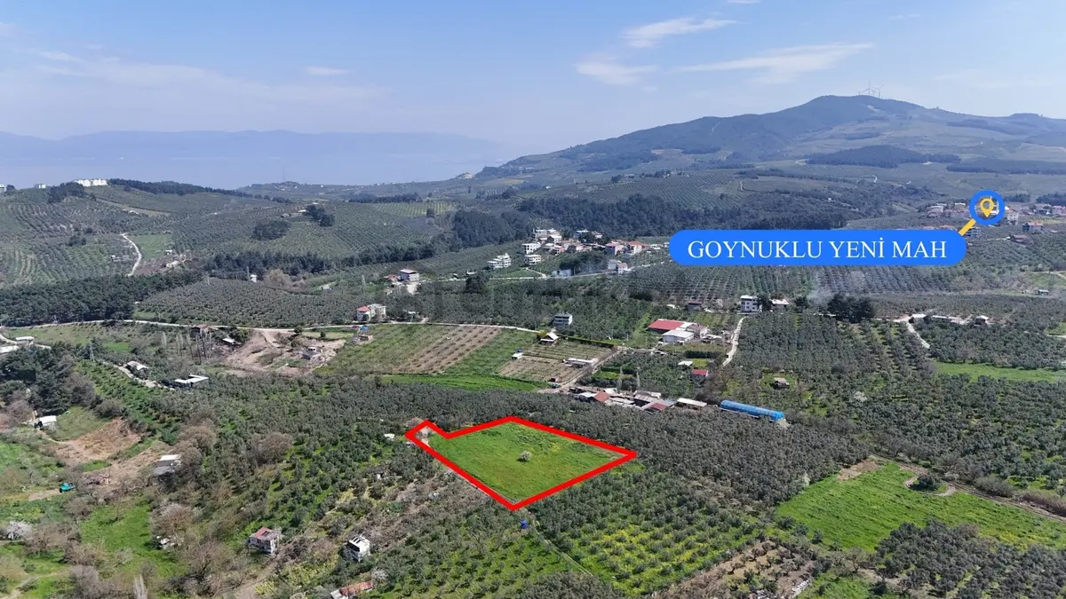 Bursa Mudanya Güzelyalı Eğitim Mahallesinde Satılık Tarla - 4