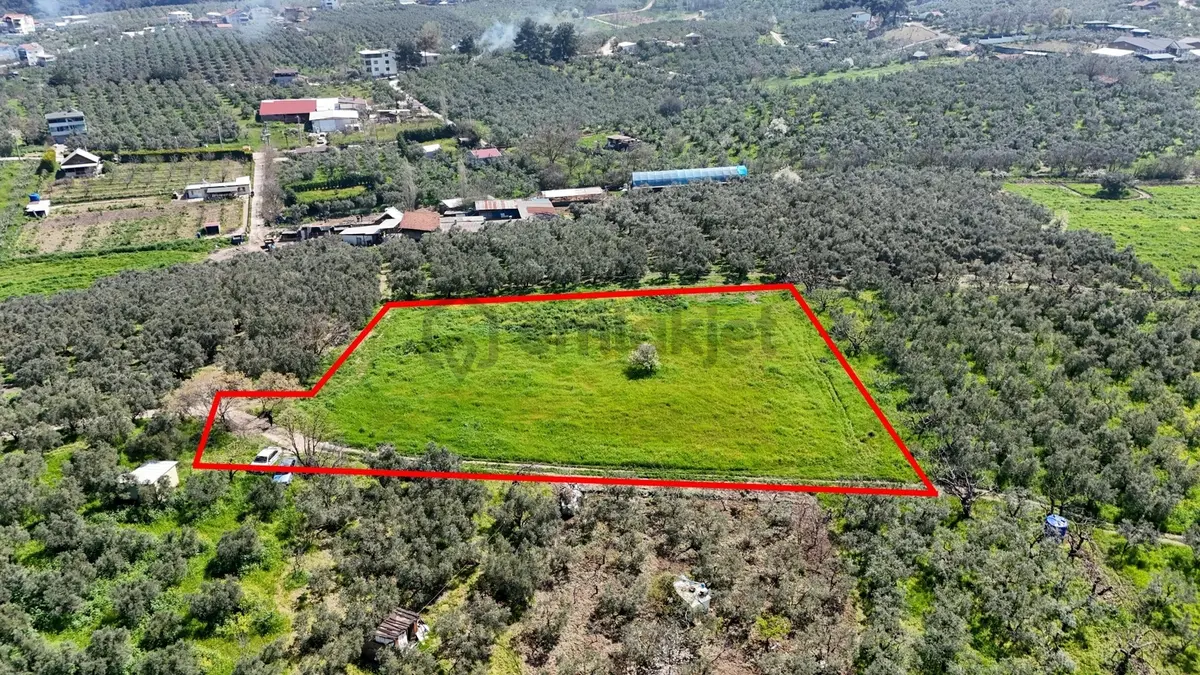 Bursa Mudanya Güzelyalı Eğitim Mahallesinde Satılık Tarla - 3