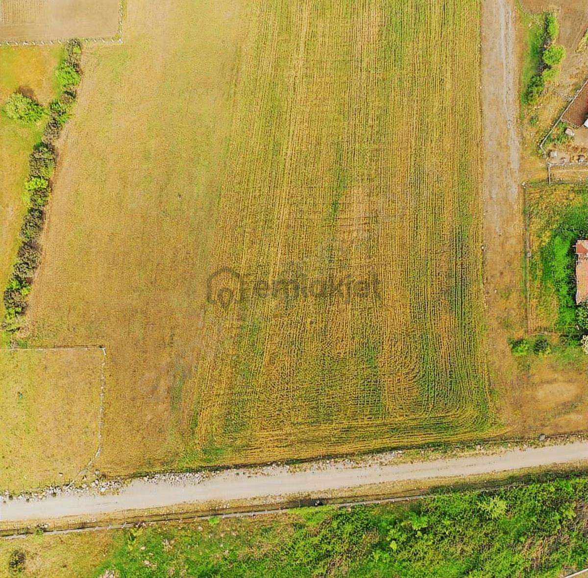 Büyükoyumca'da Satılık Arsa - 12
