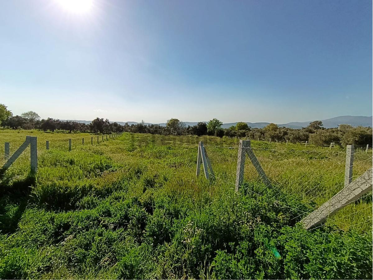 Torbalı Dirmil Mahallesi'nde 1848m2 Satılık Bağ - 9