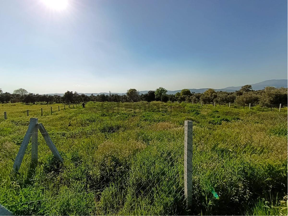 Torbalı Dirmil Mahallesi'nde 1848m2 Satılık Bağ - 30