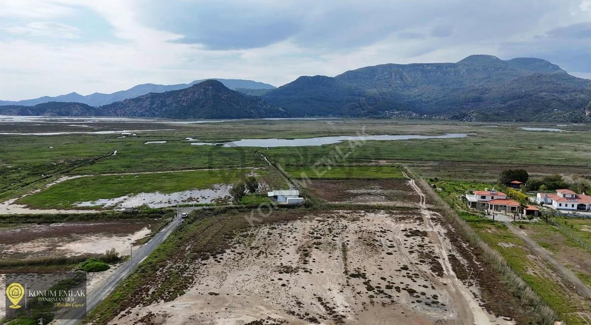 Muğla Ortaca Dalyan Satılık 2.000 M2 Tarla - 4