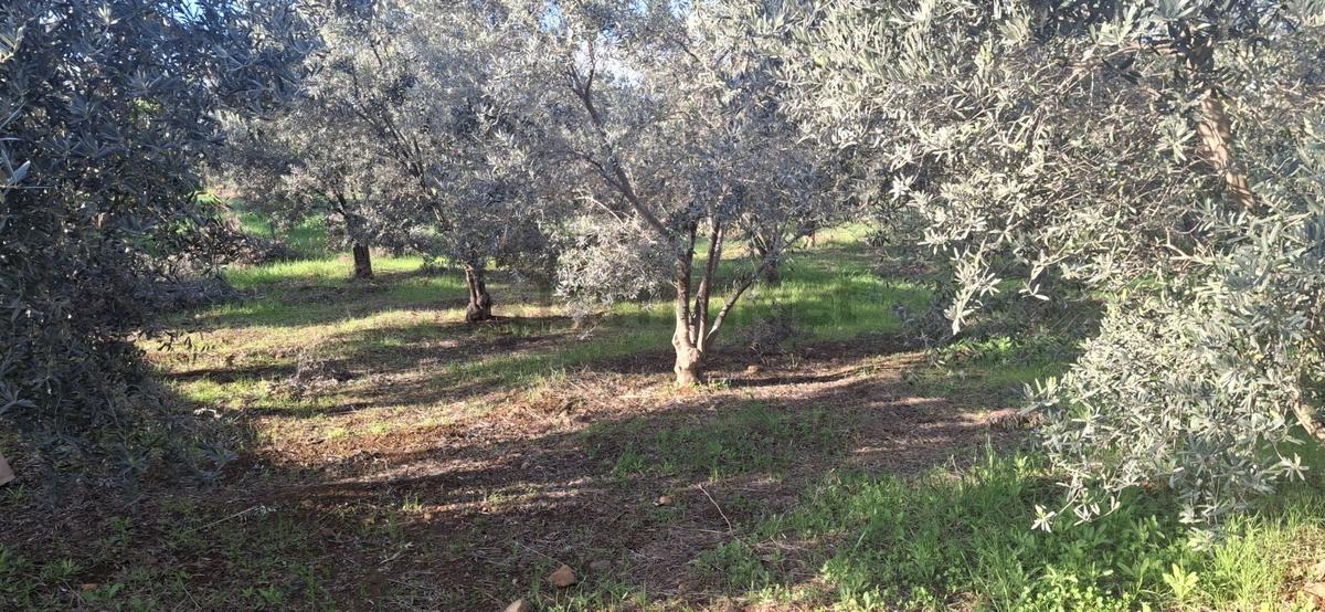 Fethiye Karaçulha Mah. İlkon'dan Satılık Arazi - 24