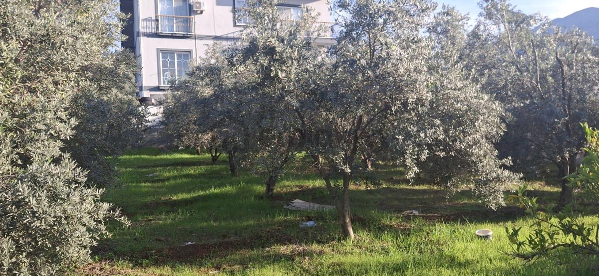 Fethiye Karaçulha Mah. İlkon'dan Satılık Arazi - 2