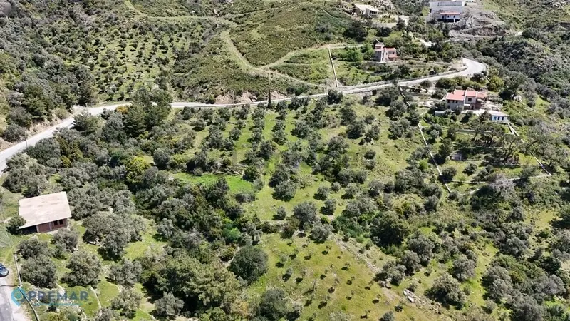 Datça Mesudiye'de Deniz Manzaralı 1883m² Zeytinlik - 3