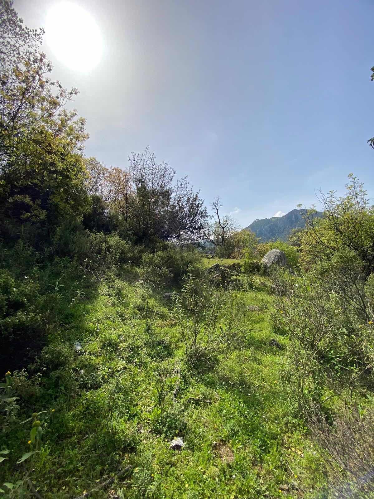 Anamur Ovabaşı Mah Satılık Tarla - 12