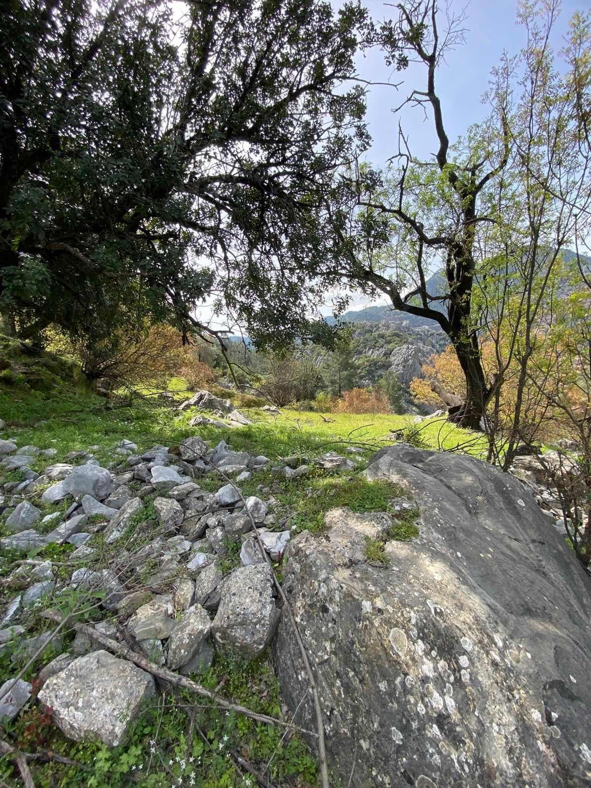 Anamur Ovabaşı Mah Satılık Tarla - 18