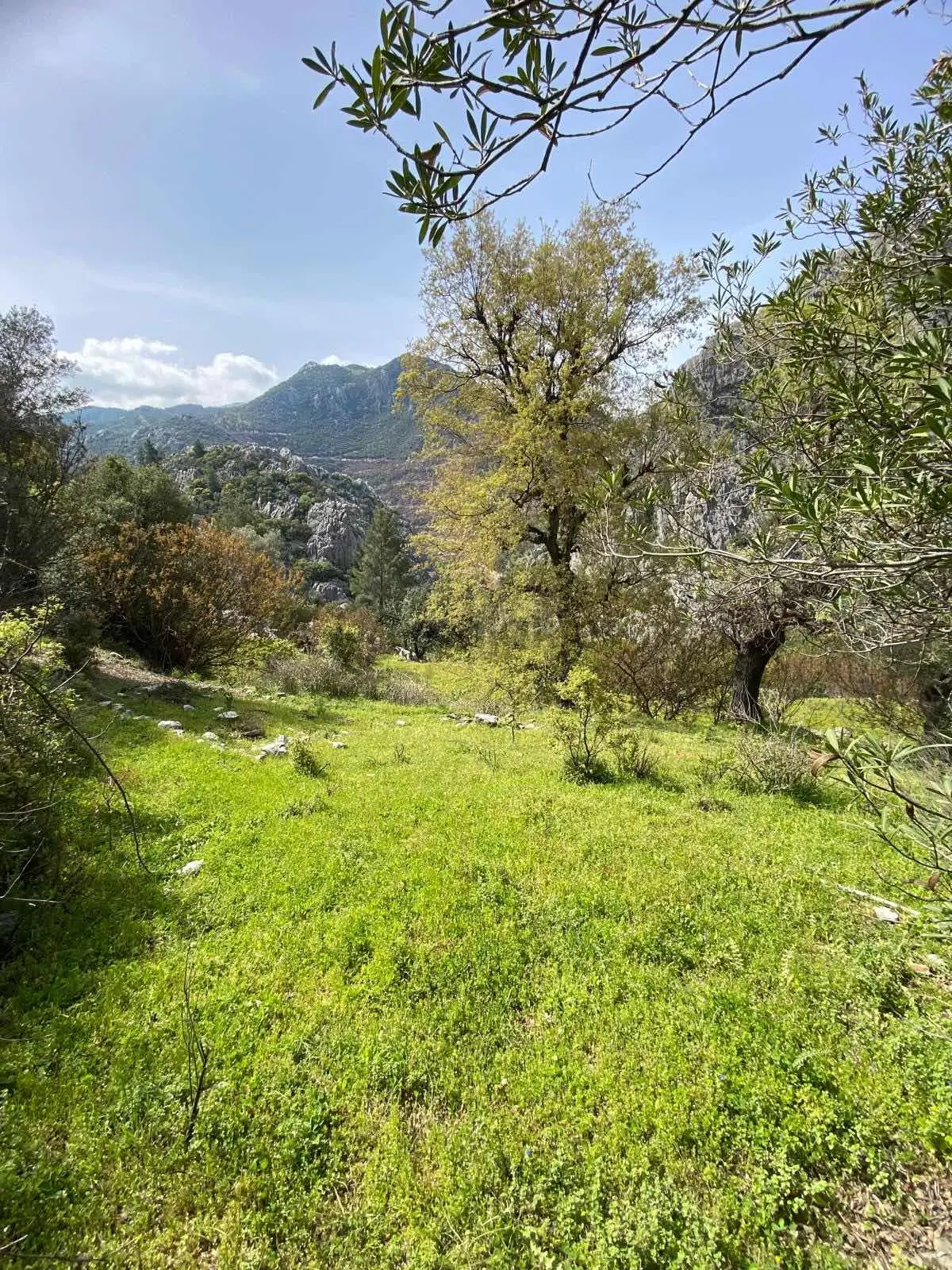 Anamur Ovabaşı Mah Satılık Tarla - 10