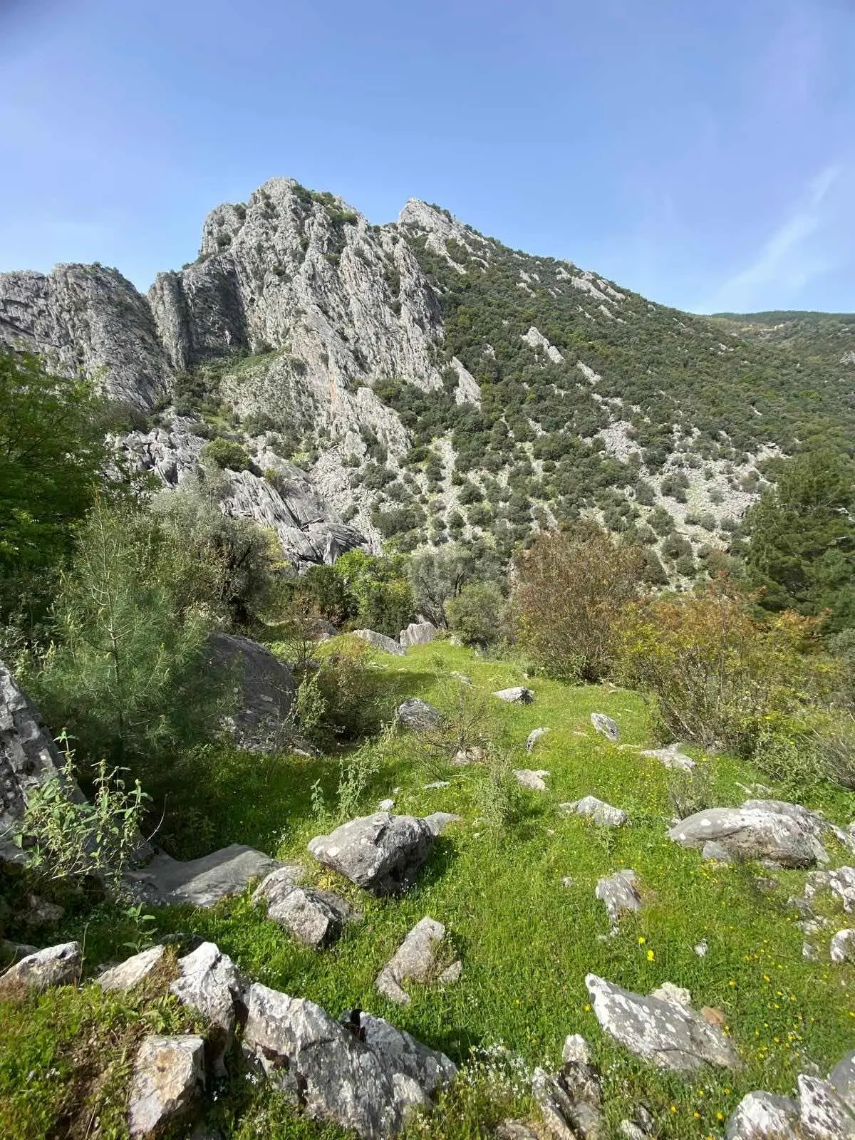 Anamur Ovabaşı Mah Satılık Tarla - 2