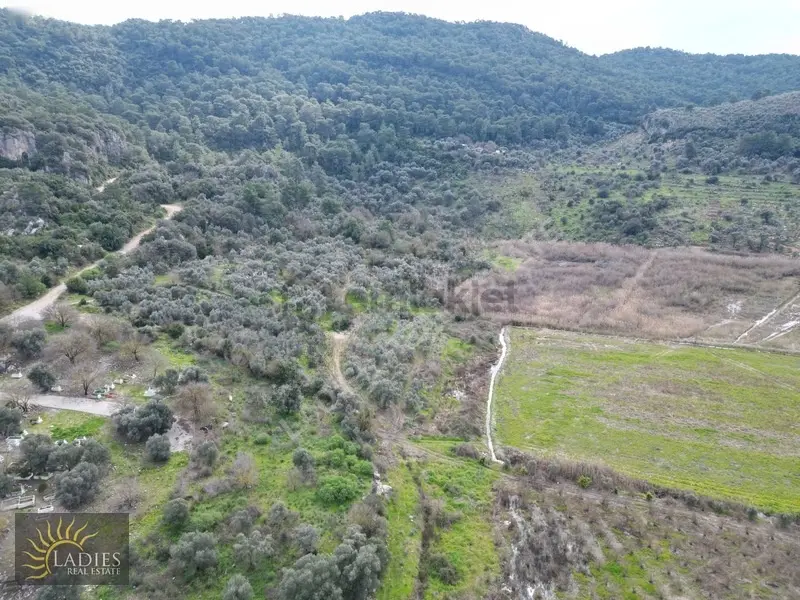 Güzelyurt Akdoğanda Yola Cepheli Tek Tapu Tarla - 11