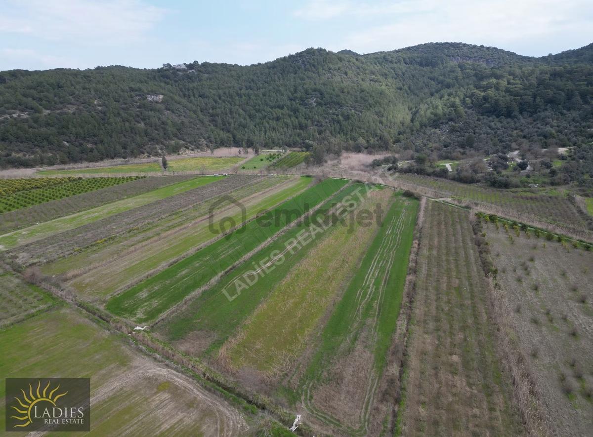 Güzelyurt Akdoğanda Yola Cepheli Tarla