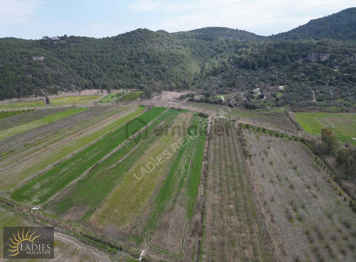 Güzelyurt Akdoğanda Yola Cepheli Tarla - 13
