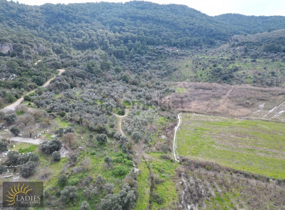 Güzelyurt Akdoğanda Yola Cepheli Tarla - 12