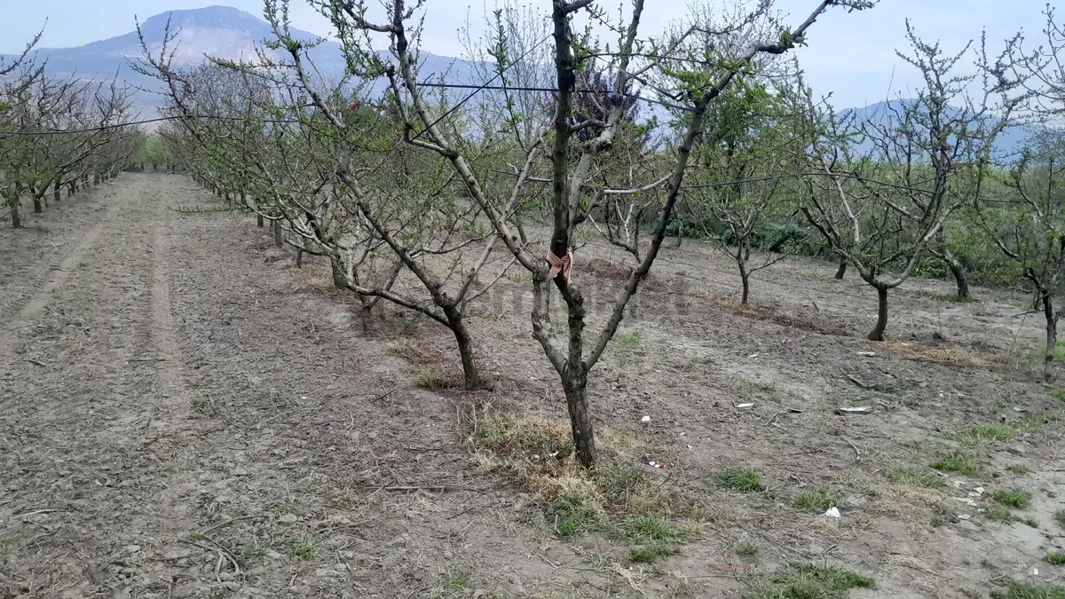 En İyi Yatırım Toprağa Olan Yatırımdır. İmara - 2