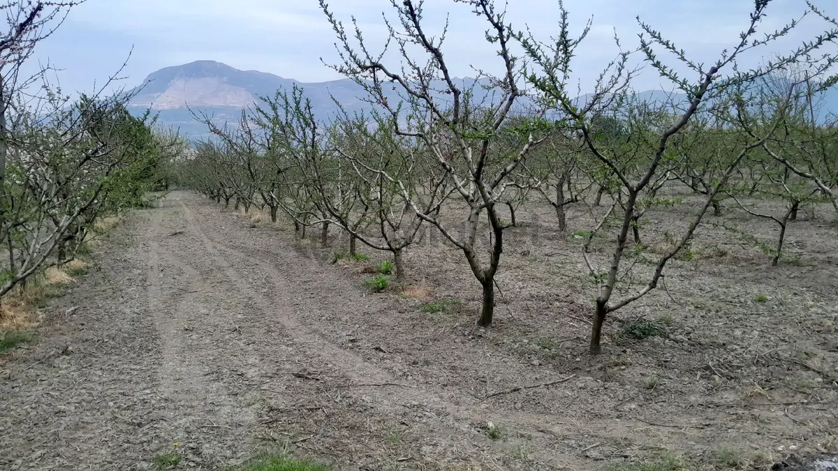 En İyi Yatırım Toprağa Olan Yatırımdır. İmara - 11
