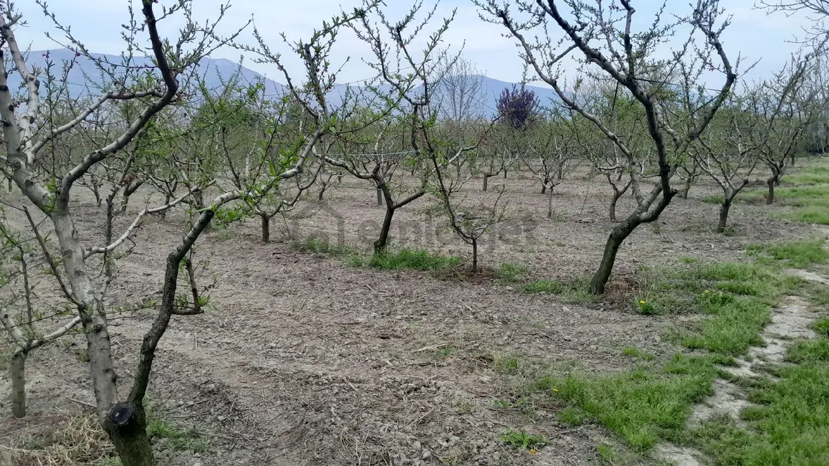 En İyi Yatırım Toprağa Olan Yatırımdır. İmara - 8