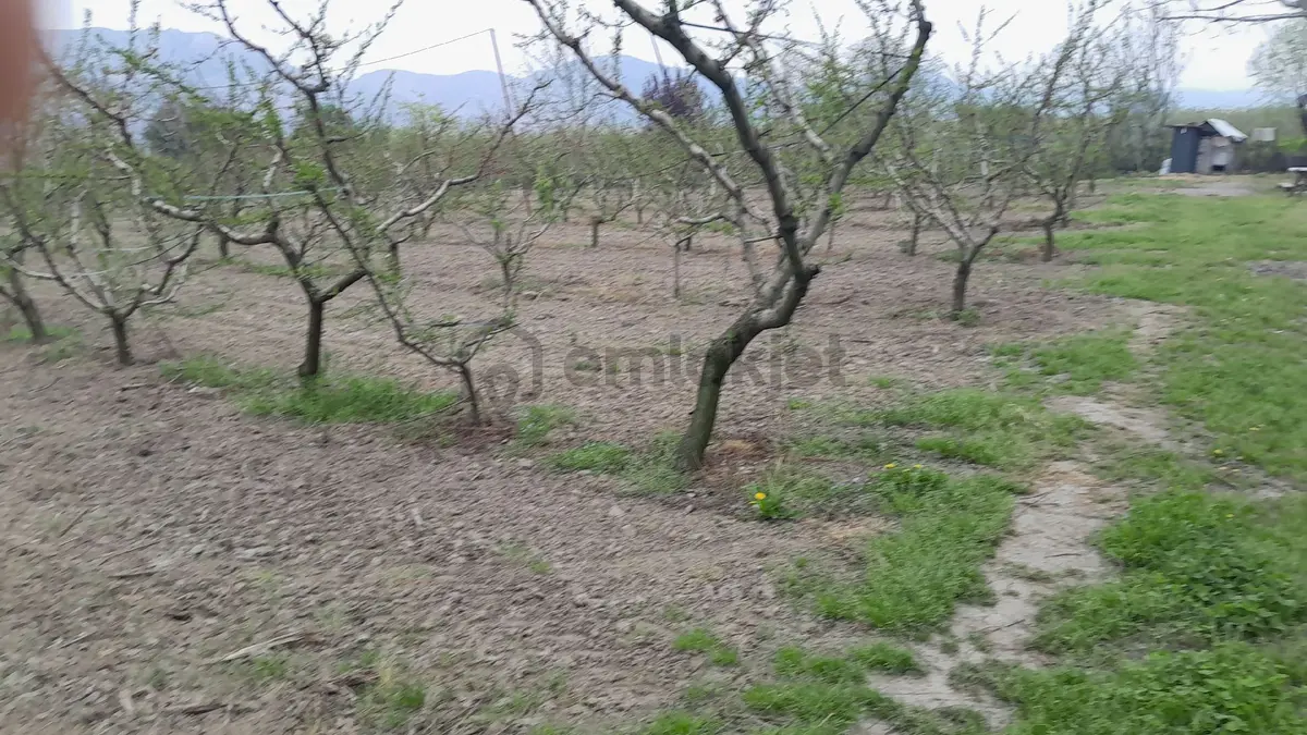 En İyi Yatırım Toprağa Olan Yatırımdır. İmara - 5