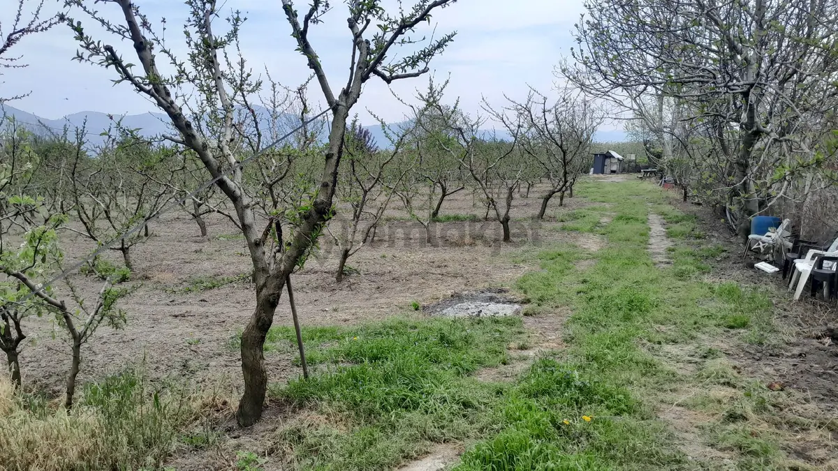 En İyi Yatırım Toprağa Olan Yatırımdır. İmara - 17