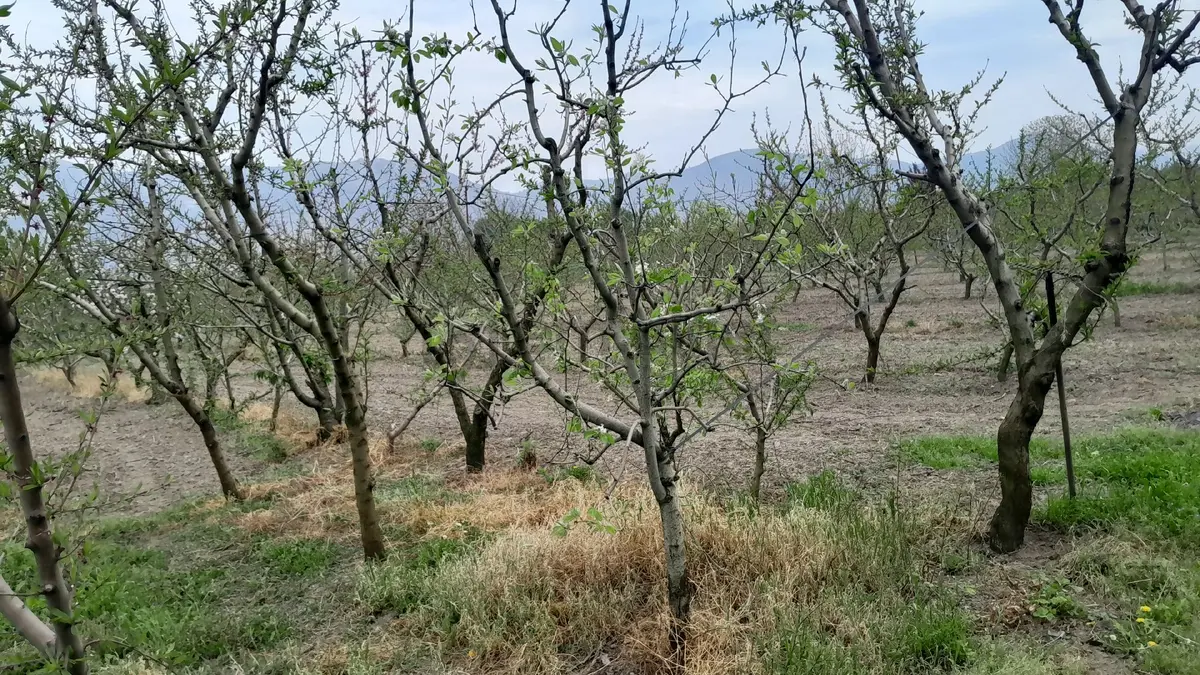 En İyi Yatırım Toprağa Olan Yatırımdır. İmara - 18