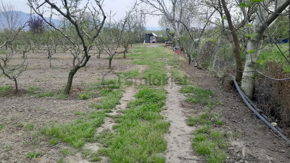 En İyi Yatırım Toprağa Olan Yatırımdır. İmara - 7