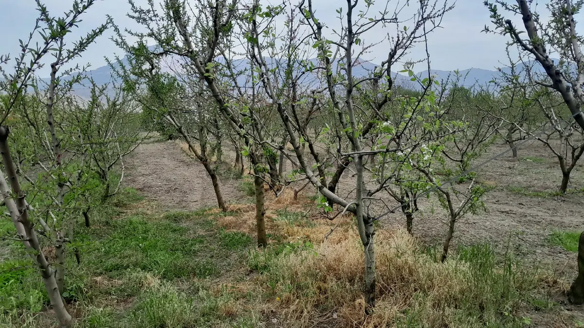 En İyi Yatırım Toprağa Olan Yatırımdır. İmara - 16