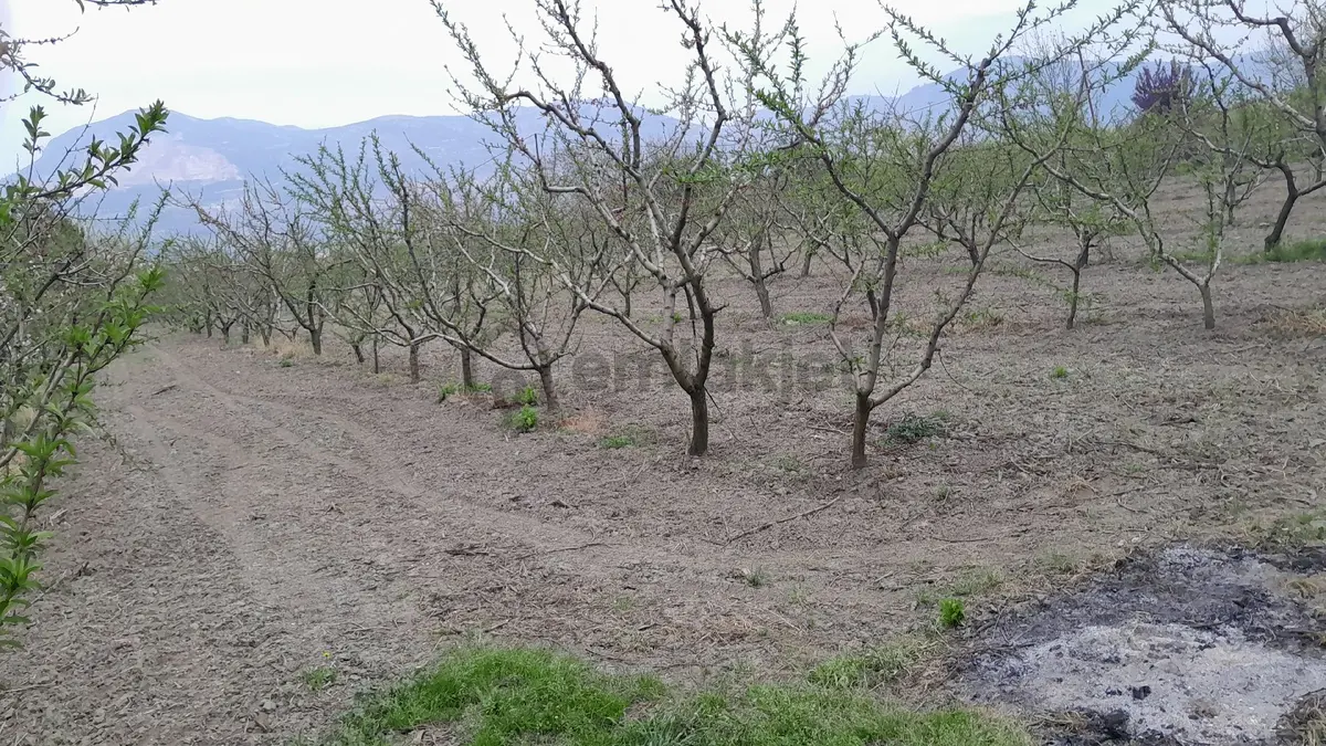 En İyi Yatırım Toprağa Olan Yatırımdır. İmara - 12