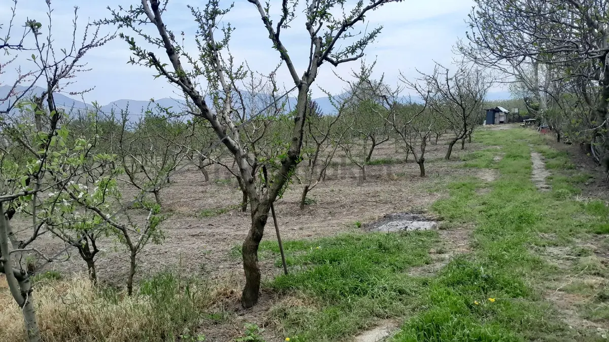 En İyi Yatırım Toprağa Olan Yatırımdır. İmara - 20