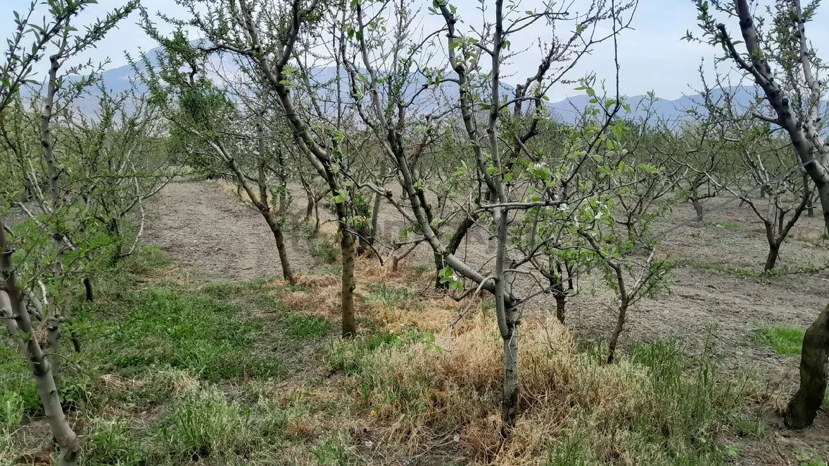 En İyi Yatırım Toprağa Olan Yatırımdır. İmara - 13