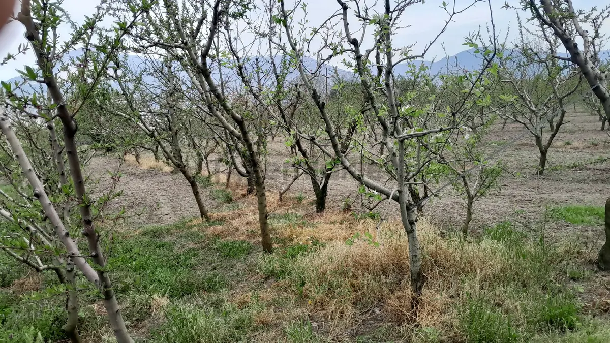 En İyi Yatırım Toprağa Olan Yatırımdır. İmara - 19