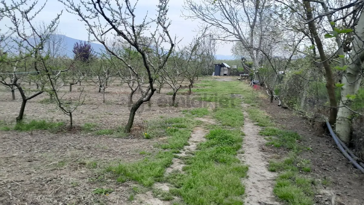 En İyi Yatırım Toprağa Olan Yatırımdır. İmara - 9