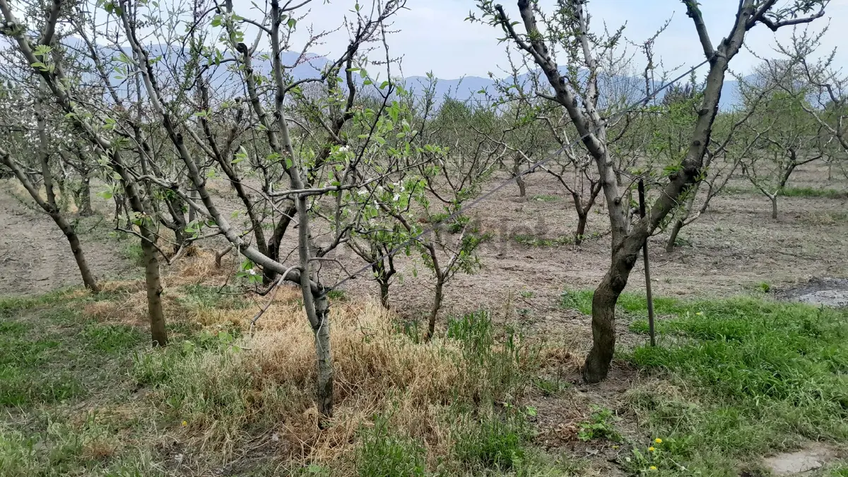 En İyi Yatırım Toprağa Olan Yatırımdır. İmara - 14