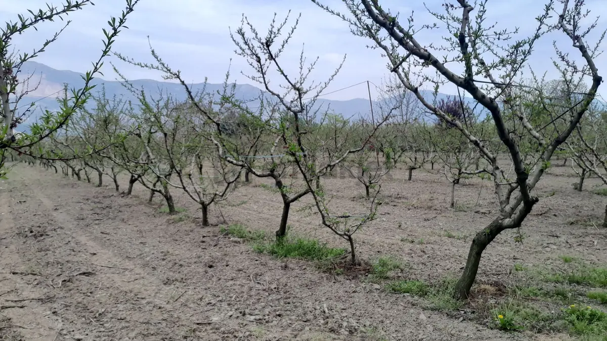 En İyi Yatırım Toprağa Olan Yatırımdır. İmara - 4
